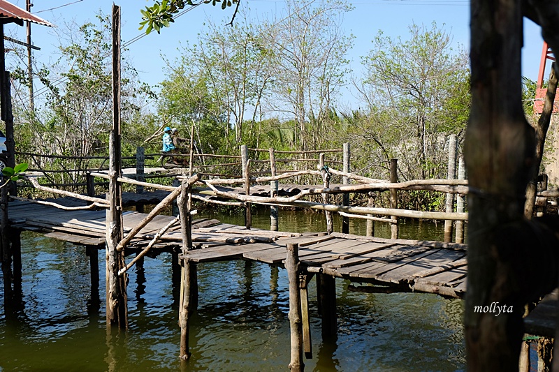 Mangrove di desa Dogang