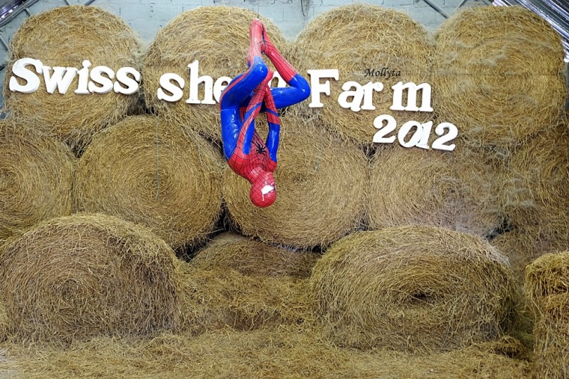 Spiderman di Swiss Sheep Farm Cha-Am Hua Hin