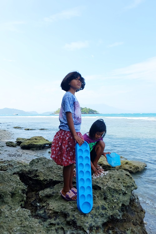 Anak-anak mencari kerang laut