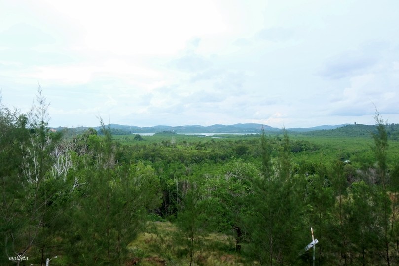 Pemandangan dari pagoda Quan Am Tu