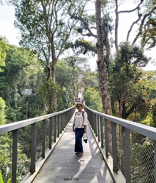 Langur Way Canopy Walk