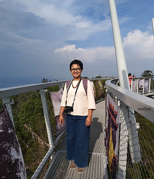 Di Curtis Crest Tree Top