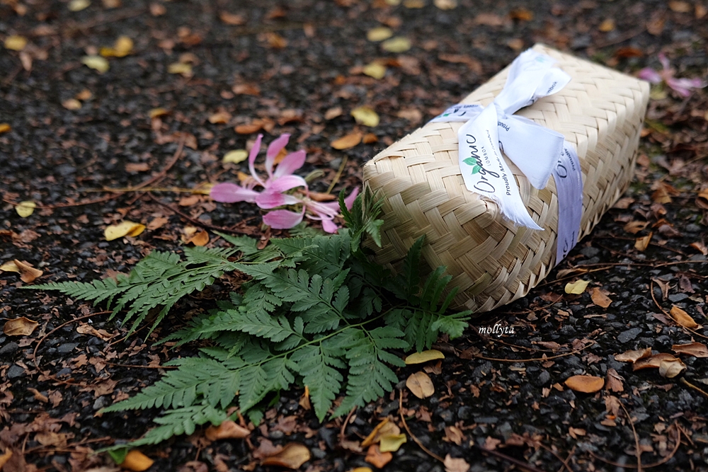 Besek bambu Organic Lombok